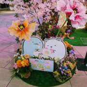 ヒメ日記 2026/03/14 18:22 投稿 あやか 梅田アバンチュール