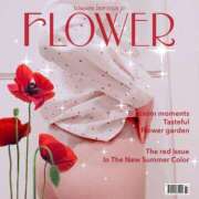 ヒメ日記 2025/03/20 18:15 投稿 花江 出会い系人妻ネットワーク さいたま～大宮編