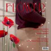 ヒメ日記 2025/04/01 19:02 投稿 花江 出会い系人妻ネットワーク 春日部〜岩槻編