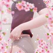 ヒメ日記 2025/04/08 18:31 投稿 花江 出会い系人妻ネットワーク 春日部〜岩槻編