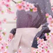 ヒメ日記 2025/04/16 11:04 投稿 花江 出会い系人妻ネットワーク 春日部〜岩槻編