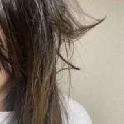 ヒメ日記 2026/02/15 08:15 投稿 なつ New Sky