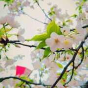 ヒメ日記 2025/03/30 22:59 投稿 えれな ぽっちゃりデリヘル倶楽部