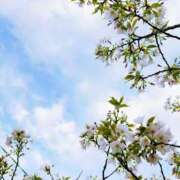 ヒメ日記 2025/04/04 19:12 投稿 えれな ぽっちゃりデリヘル倶楽部