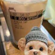 ヒメ日記 2025/04/24 15:59 投稿 えれな ぽっちゃりデリヘル倶楽部