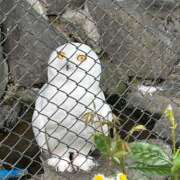 ヒメ日記 2025/05/04 20:19 投稿 えれな ぽっちゃりデリヘル倶楽部