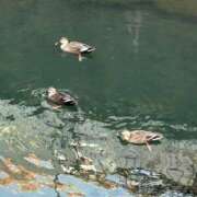 ヒメ日記 2025/05/16 11:39 投稿 えれな ぽっちゃりデリヘル倶楽部