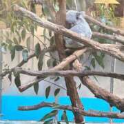 ヒメ日記 2025/05/22 14:19 投稿 えれな ぽっちゃりデリヘル倶楽部