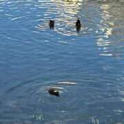 ヒメ日記 2025/09/13 14:09 投稿 えれな ぽっちゃりデリヘル倶楽部