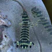 ヒメ日記 2025/11/25 00:49 投稿 えれな ぽっちゃりデリヘル倶楽部