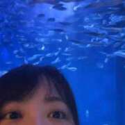 ヒメ日記 2025/11/26 06:49 投稿 えれな ぽっちゃりデリヘル倶楽部