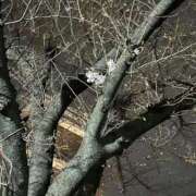 ヒメ日記 2026/04/05 09:46 投稿 えれな ぽっちゃりデリヘル倶楽部