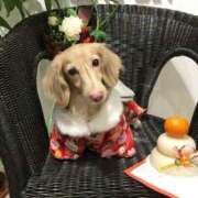 ヒメ日記 2025/01/01 08:15 投稿 真白 べに SUMIRE