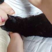 ヒメ日記 2025/05/10 07:51 投稿 真白 べに SUMIRE