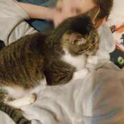 ヒメ日記 2025/05/25 00:53 投稿 真白 べに SUMIRE