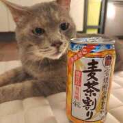 ヒメ日記 2025/07/27 20:49 投稿 真白 べに SUMIRE