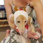 ヒメ日記 2025/09/08 09:36 投稿 真白 べに SUMIRE