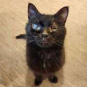 ヒメ日記 2025/09/22 19:33 投稿 真白 べに SUMIRE