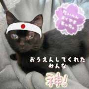 ヒメ日記 2025/11/12 15:48 投稿 真白 べに SUMIRE