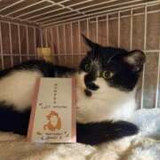 ヒメ日記 2026/01/16 15:45 投稿 真白 べに SUMIRE