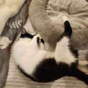 真白 べに 苦しい胸の内❤ SUMIRE