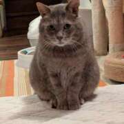 ヒメ日記 2026/02/08 14:48 投稿 真白 べに SUMIRE