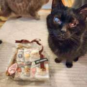 ヒメ日記 2026/03/11 07:16 投稿 真白 べに SUMIRE