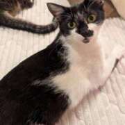 ヒメ日記 2026/03/14 09:45 投稿 真白 べに SUMIRE