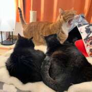 真白 べに 骨、ミッチミチでした❤ SUMIRE