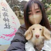 真白 べに インバウンド向きの犬❤ SUMIRE