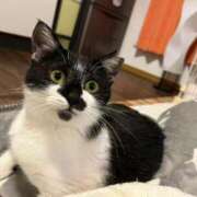 ヒメ日記 2026/03/31 18:18 投稿 真白 べに SUMIRE