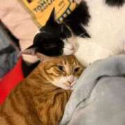 ヒメ日記 2026/04/04 09:54 投稿 真白 べに SUMIRE