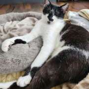 ヒメ日記 2026/04/15 13:54 投稿 真白 べに SUMIRE