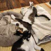 ヒメ日記 2026/04/19 08:59 投稿 真白 べに SUMIRE