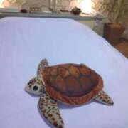 ヒメ日記 2025/07/07 11:41 投稿 ちなつ 熟女の風俗最終章 高崎店