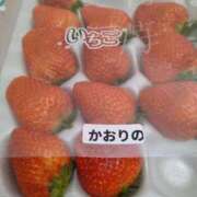 ヒメ日記 2026/03/08 13:28 投稿 ちなつ 熟女の風俗最終章 高崎店