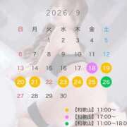 ヒメ日記 2026/09/16 08:34 投稿 ユメノ　【麗しの高ランク美女】 ドMなバニーちゃん和歌山店