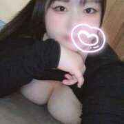 ヒメ日記 2024/12/11 17:46 投稿 さくら 京都祇園・南インターちゃんこ