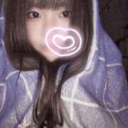 ヒメ日記 2024/12/17 20:14 投稿 さくら 京都祇園・南インターちゃんこ