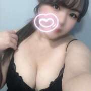 ヒメ日記 2024/12/18 16:14 投稿 さくら 京都祇園・南インターちゃんこ