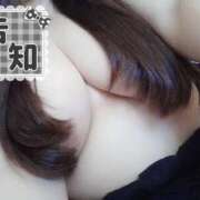 ヒメ日記 2025/01/31 21:09 投稿 さくら 京都祇園・南インターちゃんこ