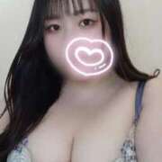 ヒメ日記 2025/02/06 17:13 投稿 さくら 京都祇園・南インターちゃんこ