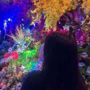 ヒメ日記 2025/03/01 17:00 投稿 さくら 京都祇園・南インターちゃんこ