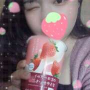 ヒメ日記 2025/03/05 16:46 投稿 さくら 京都祇園・南インターちゃんこ