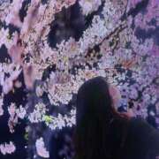 ヒメ日記 2025/03/10 17:20 投稿 さくら 京都祇園・南インターちゃんこ