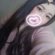 ヒメ日記 2025/03/14 08:02 投稿 さくら 京都祇園・南インターちゃんこ