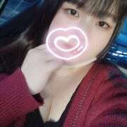 ヒメ日記 2025/03/14 17:29 投稿 さくら 京都祇園・南インターちゃんこ