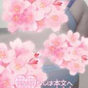 ヒメ日記 2025/03/19 19:15 投稿 さくら 京都祇園・南インターちゃんこ