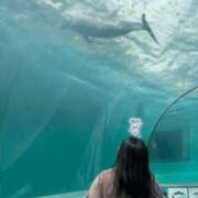 ヒメ日記 2025/03/20 08:02 投稿 さくら 京都祇園・南インターちゃんこ