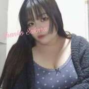 ヒメ日記 2025/03/26 07:01 投稿 さくら 京都祇園・南インターちゃんこ